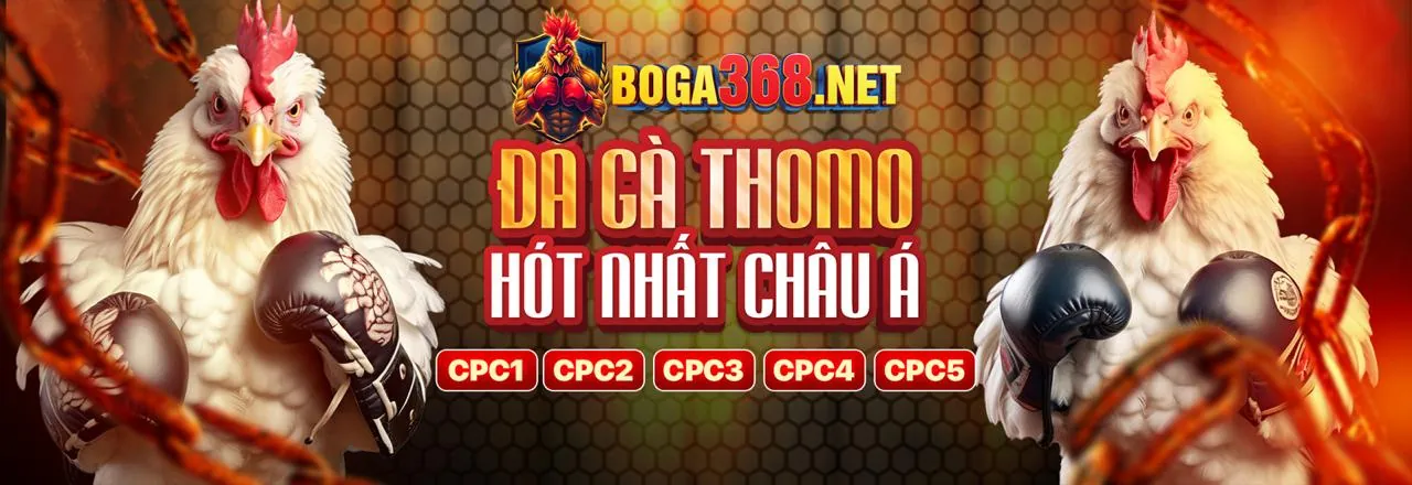 Đá gà trực tuyến heloo88 win